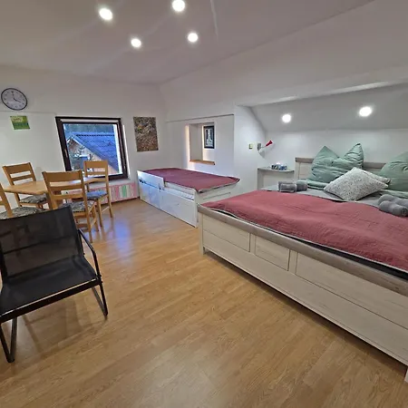 Farm stay Turisticna Kmetija Susek *